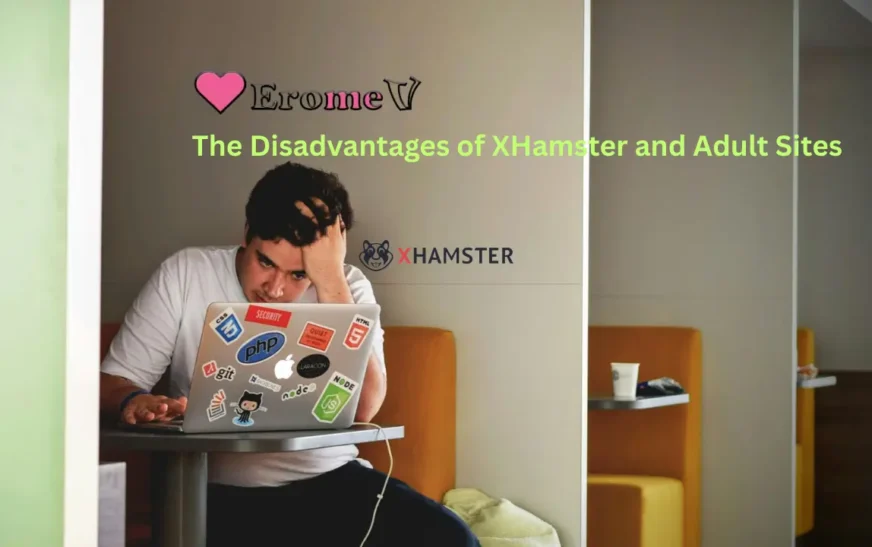 The Disadvantages of XHamster and Adult Sites-Side effects that you ought to learn of
